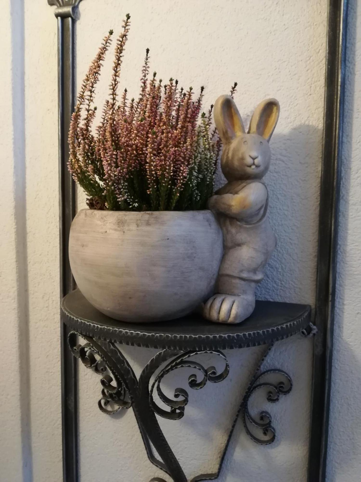 Il Nido B&B Villa d'Allegno Rum bild