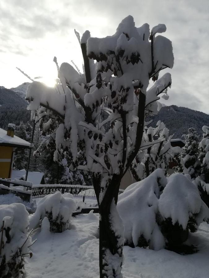 Il Nido B&B Villa d'Allegno Exteriör bild